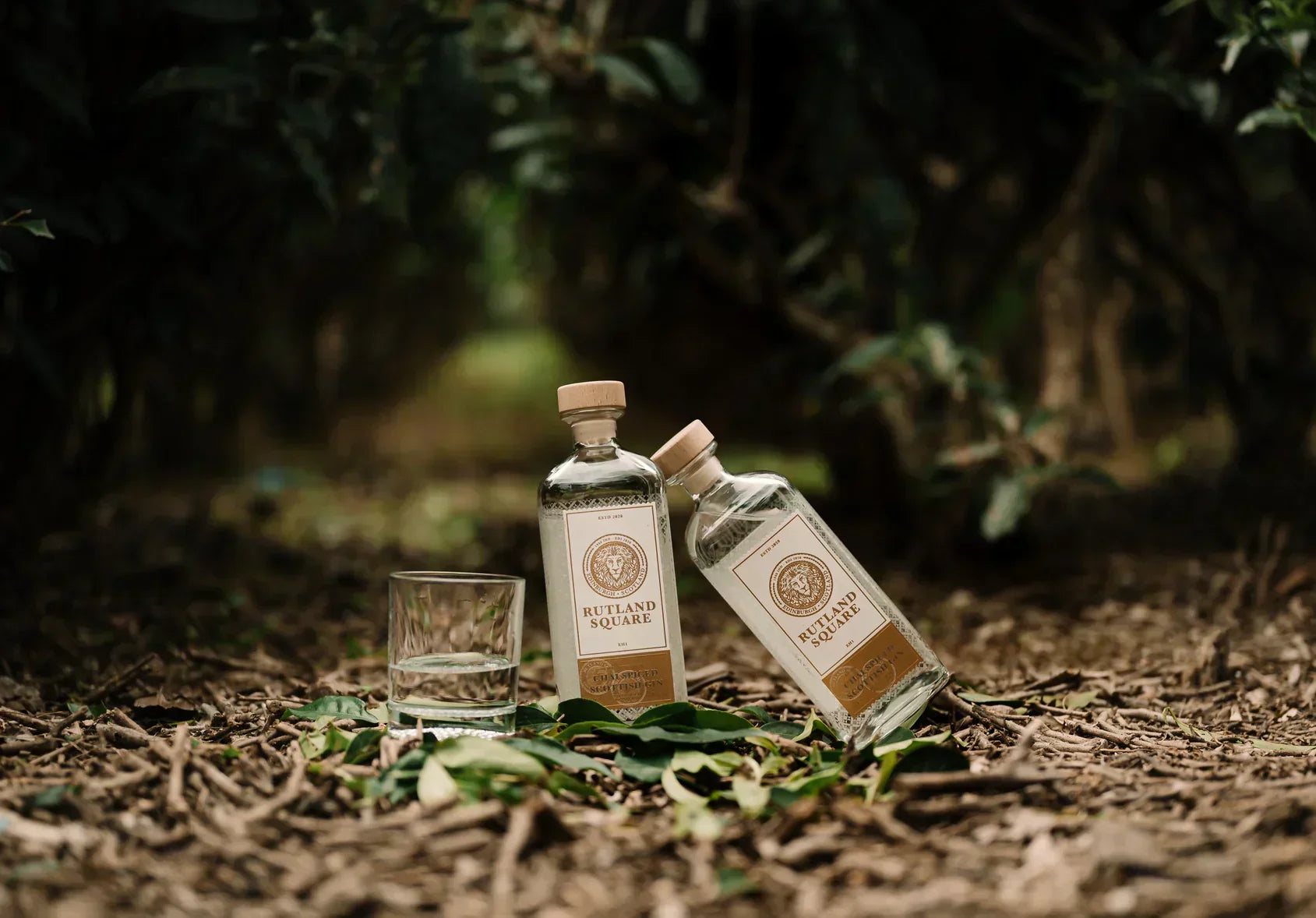 From Chai To Cheers, That Feeling, In A Gin