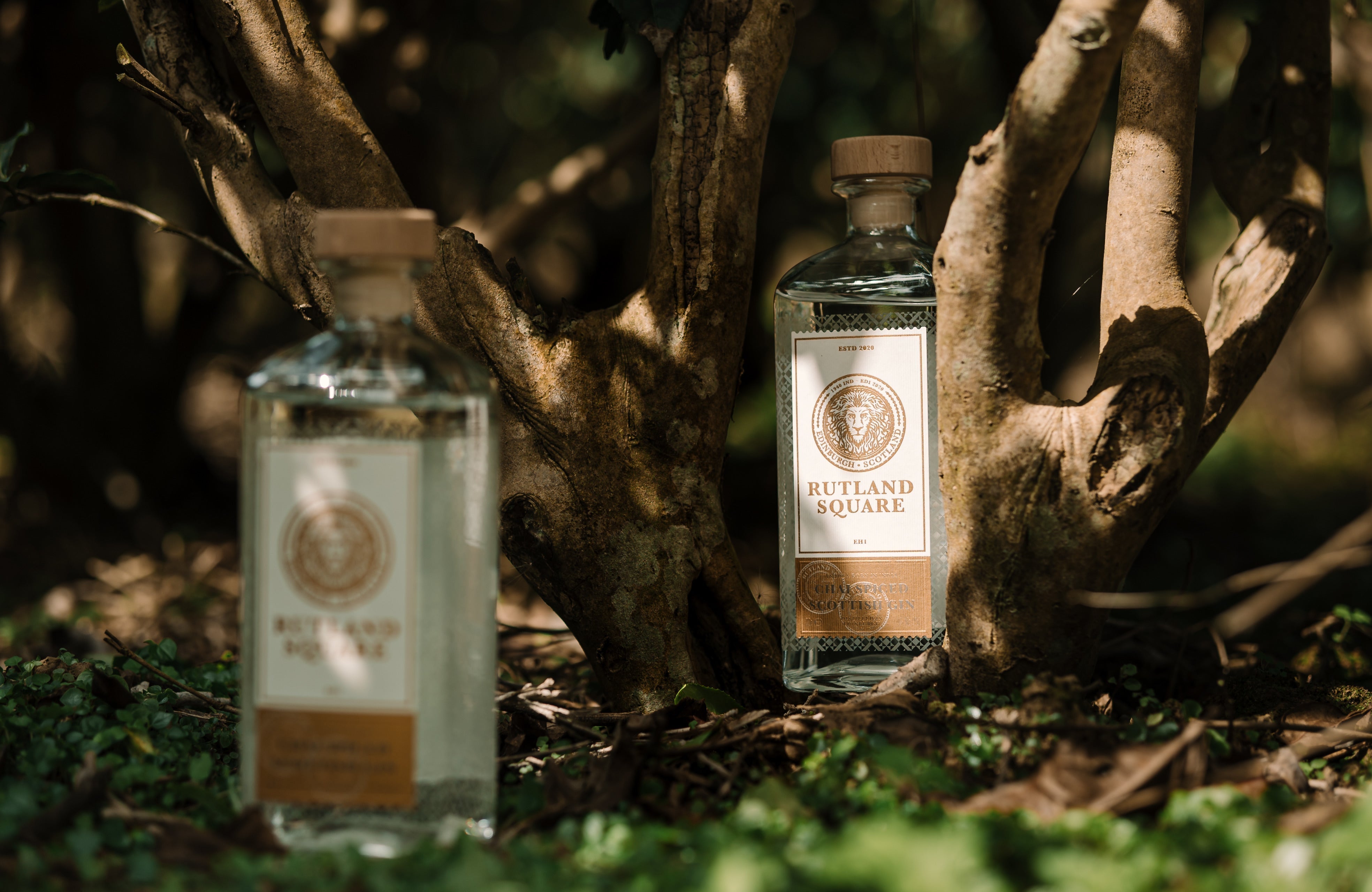 The word is out — and it’s going global.