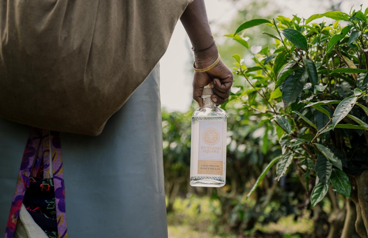 Oolong White Tea - A Chai Spice Like No Other!