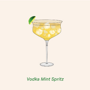 Indian Tonic Water 200ml Multipack